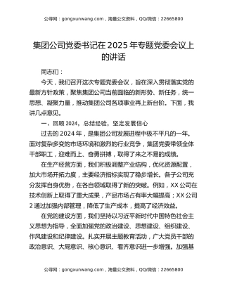 集团公司党委书记在2025年专题党委会议上的讲话