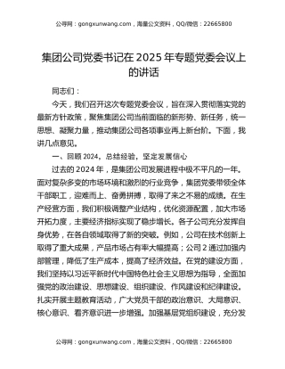 集团公司党委书记在2025年专题党委会议上的讲话（2）