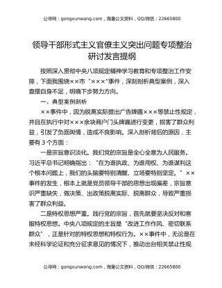 领导干部形式主义官僚主义突出问题专项整治研讨发言提纲