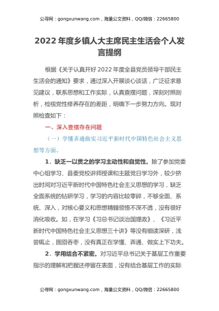 2022年度乡镇人大主席民主生活会个人发言提纲