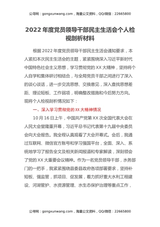 2022年度党员领导干部民主生活会个人检视剖析材料