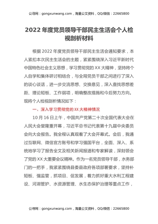 2022年度党员领导干部民主生活会个人检视剖析材料 (2)