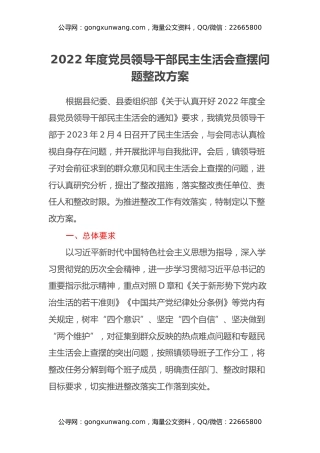 2022年度党员领导干部民主生活会查摆问题整改方案