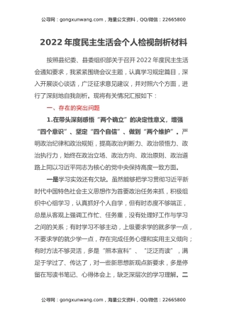 2022年度民主生活会个人检视剖析材料（六个带头）