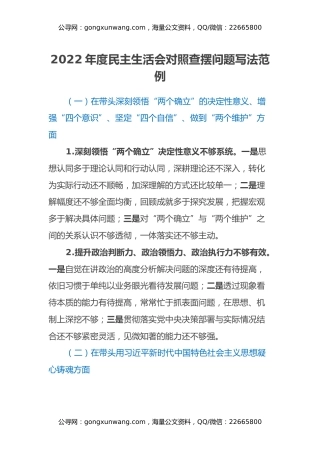 2022年度民主生活会对照查摆问题写法范例