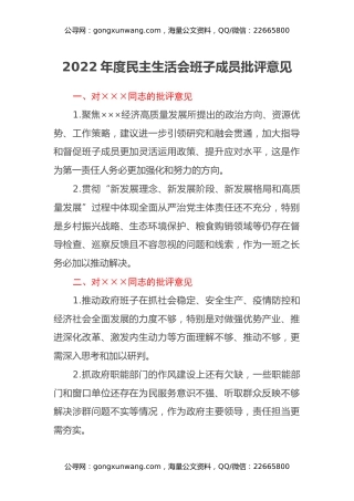 2022年度民主生活会班子成员批评意见
