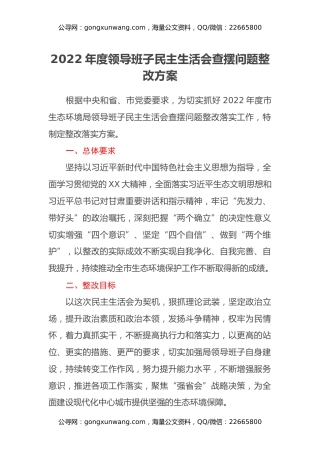 2022年度领导班子民主生活会查摆问题整改方案