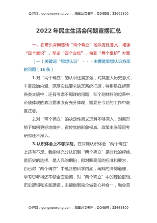 2022年民主生活会问题查摆汇总