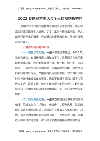 2023专题民主生活会个人检视剖析材料