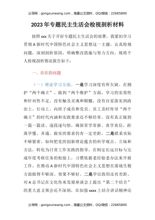 2023年专题主题教育民主生活会检视剖析材料