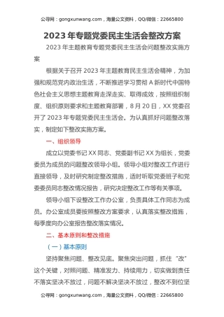 2023年专题党委民主生活会整改方案