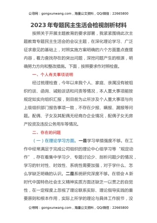 2023年专题民主生活会检视剖析材料