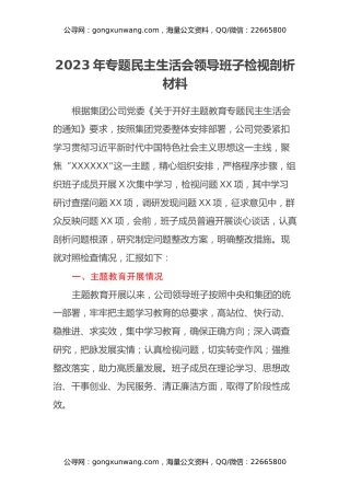 2023年专题民主生活会领导班子检视剖析材料（主题教育开展情况、四个方面）