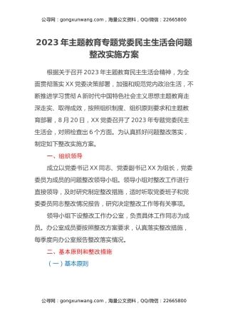2023年主题教育专题党委民主生活会问题整改实施方案