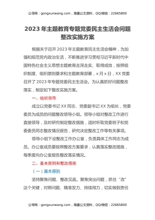 2023年主题教育专题党委民主生活会问题整改实施方案（2）