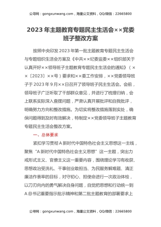 2023年主题教育专题民主生活会××党委班子整改方案