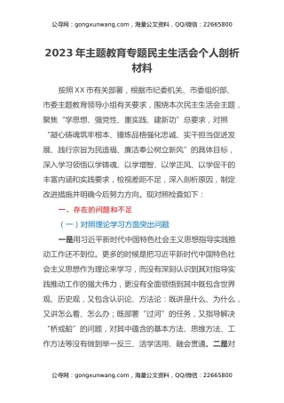 2023年主题教育专题民主生活会个人剖析材料（2）