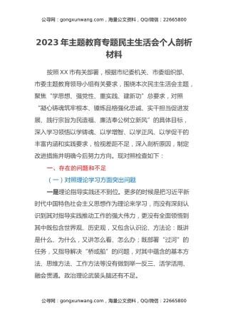 2023年主题教育专题民主生活会个人剖析材料（3）