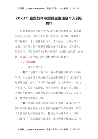 2023年主题教育专题民主生活会个人剖析材料（六个方面）