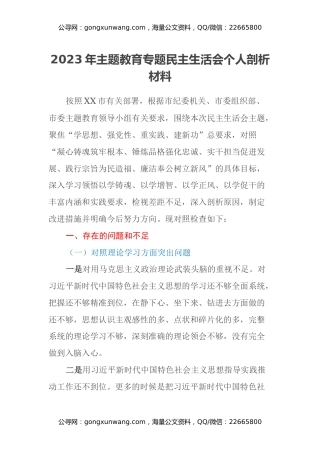 2023年主题教育专题民主生活会个人剖析材料（六个方面） (2)