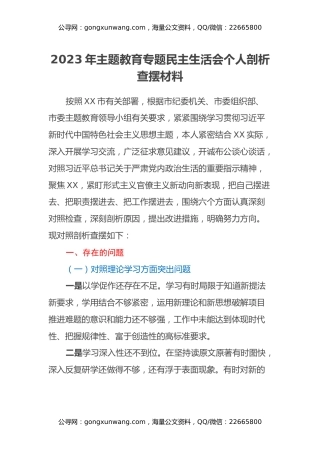 2023年主题教育专题民主生活会个人剖析查摆材料