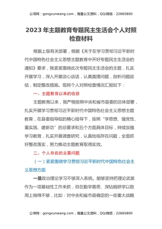 2023年主题教育专题民主生活会个人对照检查材料（新六个方面+政绩观+典型案例剖析+过紧日子、厉行节约反对浪费）