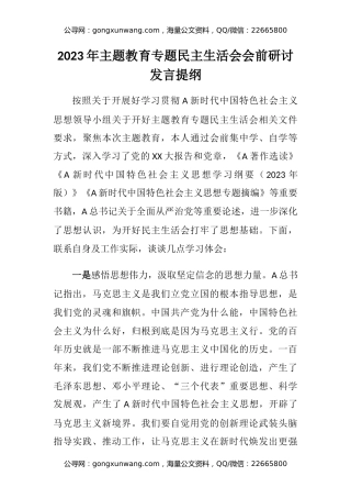 2023年主题教育专题民主生活会会前研讨发言提纲