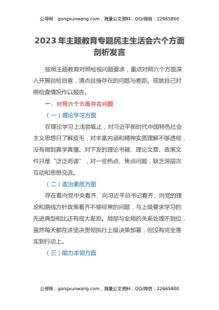 2023年主题教育专题民主生活会六个方面剖析发言