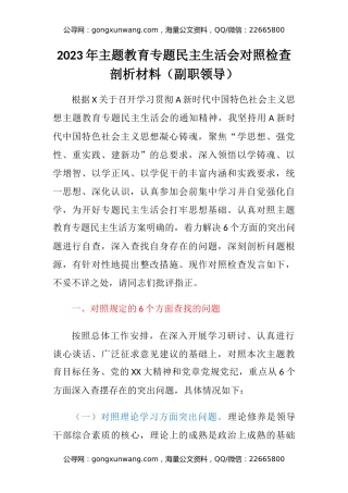 2023年主题教育专题民主生活会六个方面对照检查剖析材料（副职领导）