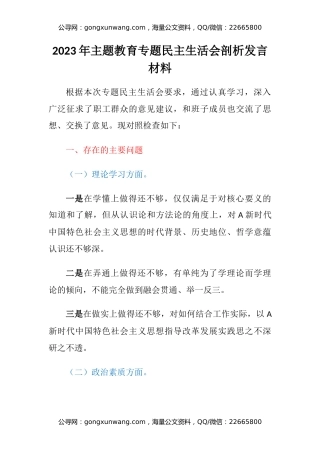 2023年主题教育专题民主生活会剖析发言材料（3）
