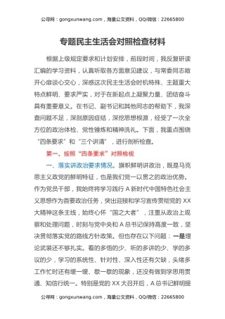 2023年主题教育专题民主生活会对照检查材料（5）