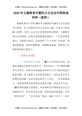 2023年主题教育专题民主生活会对照检查材料（副职）