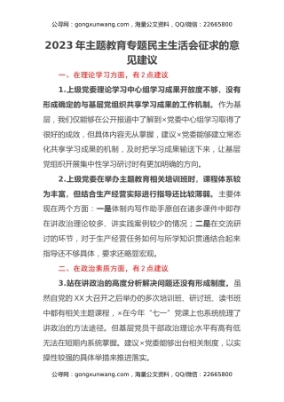 2023年主题教育专题民主生活会征求的意见建议 (2)