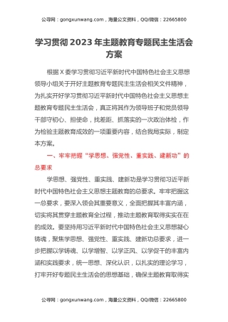 2023年主题教育专题民主生活会方案（2）