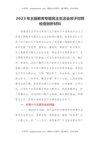 2023年主题教育专题民主生活会班子对照检查剖析材料
