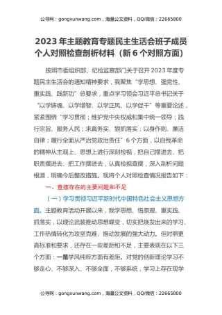 2023年主题教育专题民主生活会班子成员个人对照检查剖析材料（新6个对照方面）