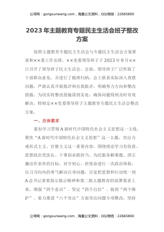 2023年主题教育专题民主生活会班子整改方案