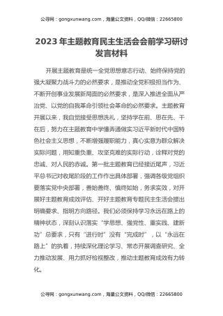 2023年主题教育民主生活会会前学习研讨发言材料 (2)