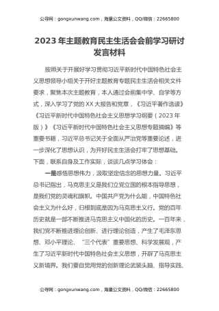 2023年主题教育民主生活会会前学习研讨发言材料 (3)