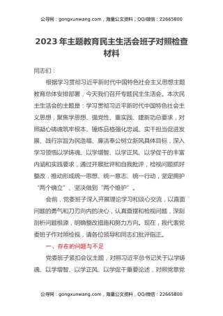 2023年主题教育民主生活会班子对照检查材料（2）