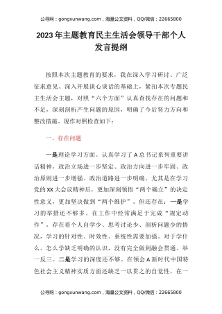 2023年主题教育民主生活会领导干部个人发言提纲