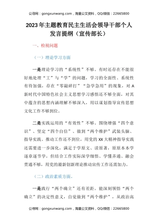 2023年主题教育民主生活会领导干部六个方面个人发言提纲（宣传部长）