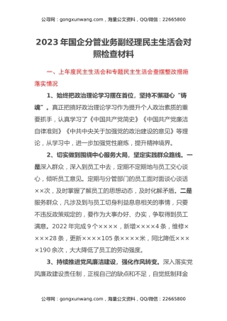 2023年国企分管业务副经理民主生活会对照检查材料
