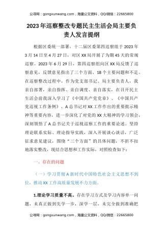 2023年巡察整改专题民主生活会局主要负责人发言提纲