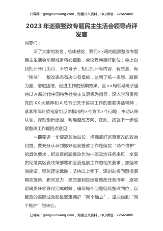 2023年巡察整改专题民主生活会领导点评发言