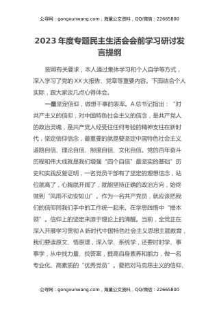 2023年度专题民主生活会会前学习研讨发言提纲 (4)