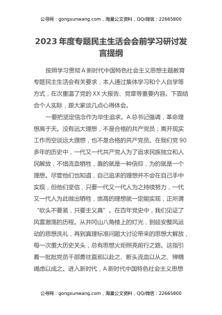2023年度专题民主生活会会前学习研讨发言提纲 (5)