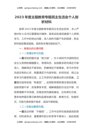 2023年度主题教育专题民主生活会个人剖析材料