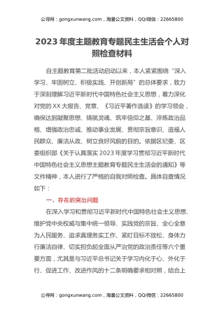 2023年度主题教育专题民主生活会个人对照检查材料 (2)