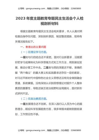 2023年度主题教育专题民主生活会个人检视剖析材料（2）